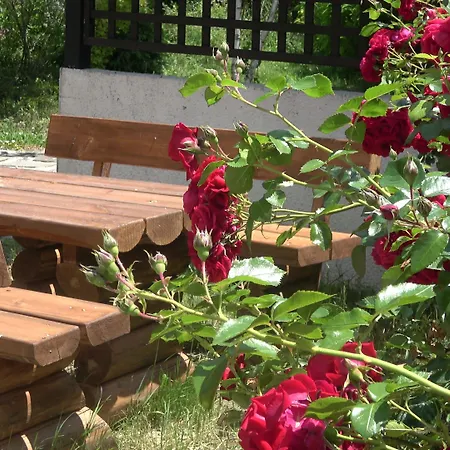 Casa Karina - Half Board&all Inclusive 4*